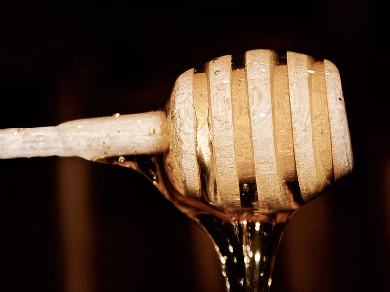 Miel para la vuelta a la rutina - El Colmenar de Valderromero