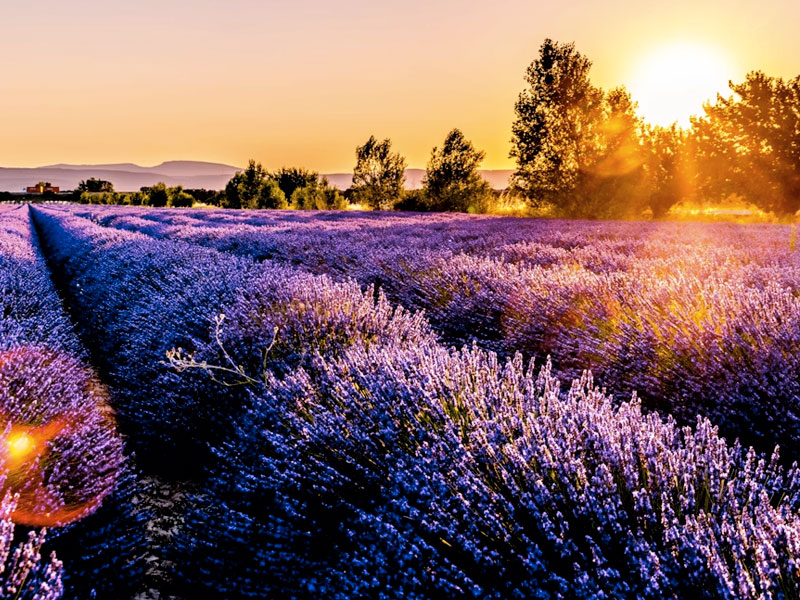 Brihuega pueblo mágico, encanto de La Alcarria - El Colmenar de Valderromero